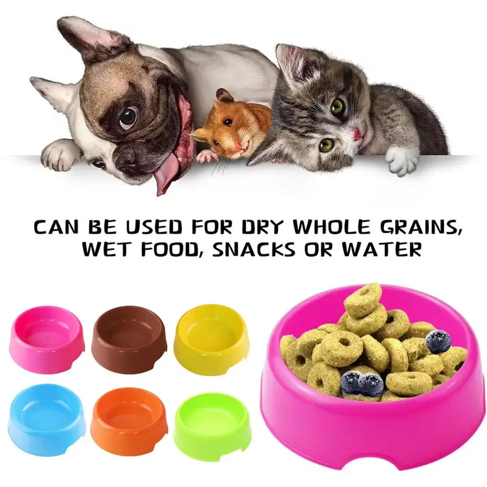 Candy Color Plastic Pet Round Bowl Cat And Dog Food Small Dog Cat And Pet Easy To Tableware Wholesale Clean Colorful Bowl S4P7 - Image 2